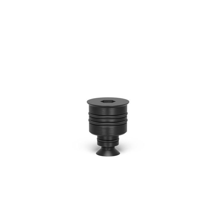 Connecting Bolt 28  16 burnished