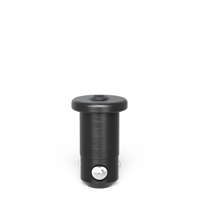 Fast Clamping Bolt flat without slot double burnished