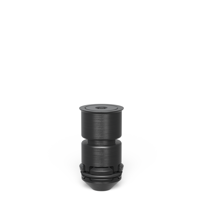 Areal Clamping Flush Mount Bolt double burnished