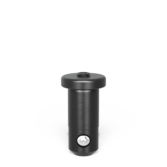 Fast Clamping Bolt flat without slot double burnished