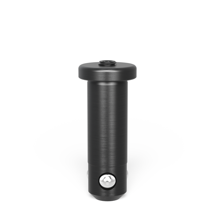 Fast Clamping Bolt flat without slot triple burnished