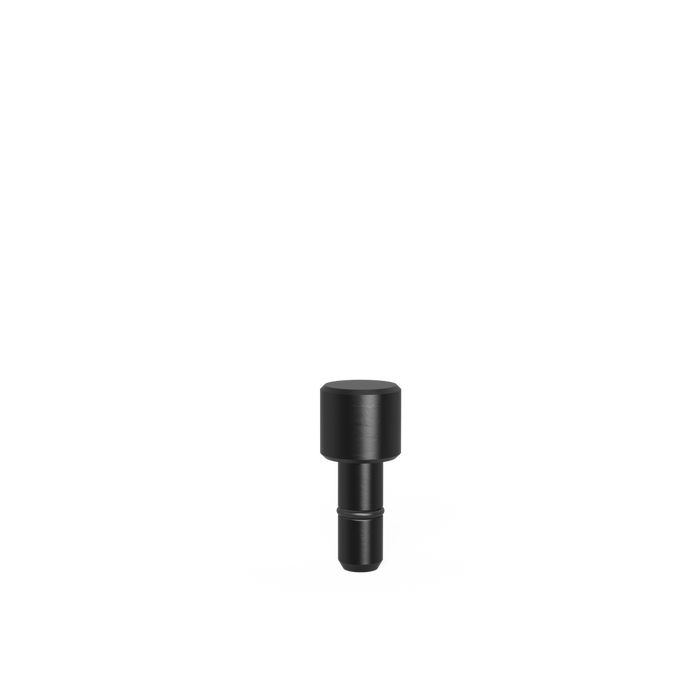 Fixing Bolt Ø 17,8 for bore 10.1 burnished