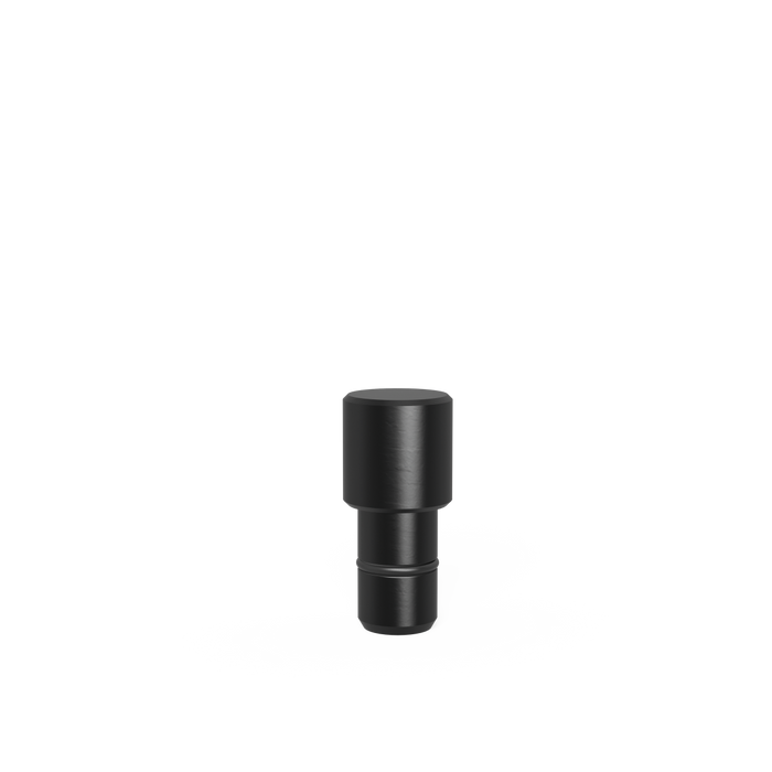 Fixing Bolt Ø 21,8 for bore 16.1 burnished