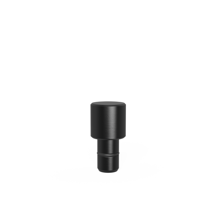 Fixing Bolt Ø 25,8 for bore 16.1 burnished