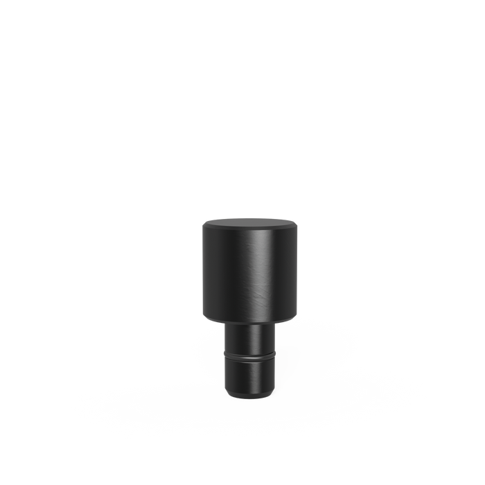 Fixing Bolt Ø 29,8 for bore 16.1 burnished