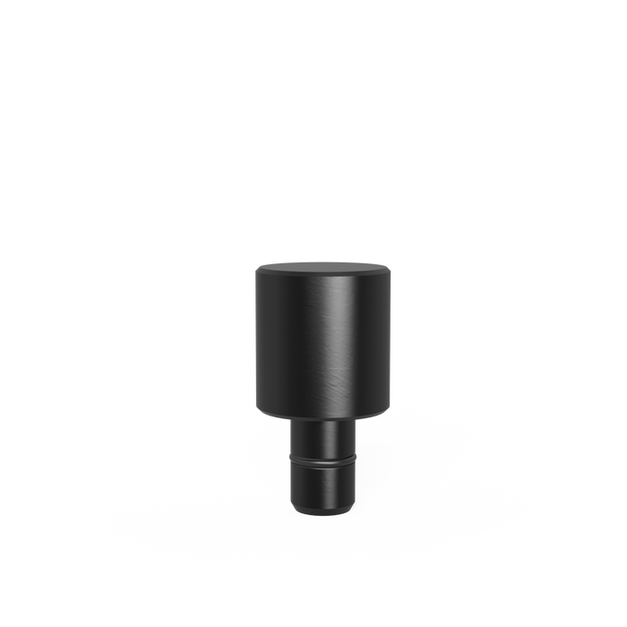 Fixing Bolt Ø 32,8 for bore 16.1 burnished