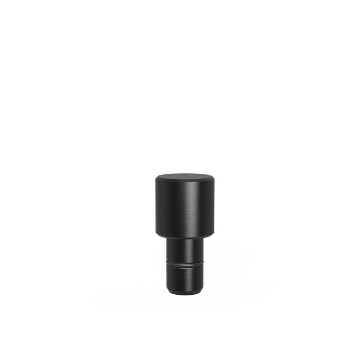 Fixing Bolt Ø 25,2 burnished