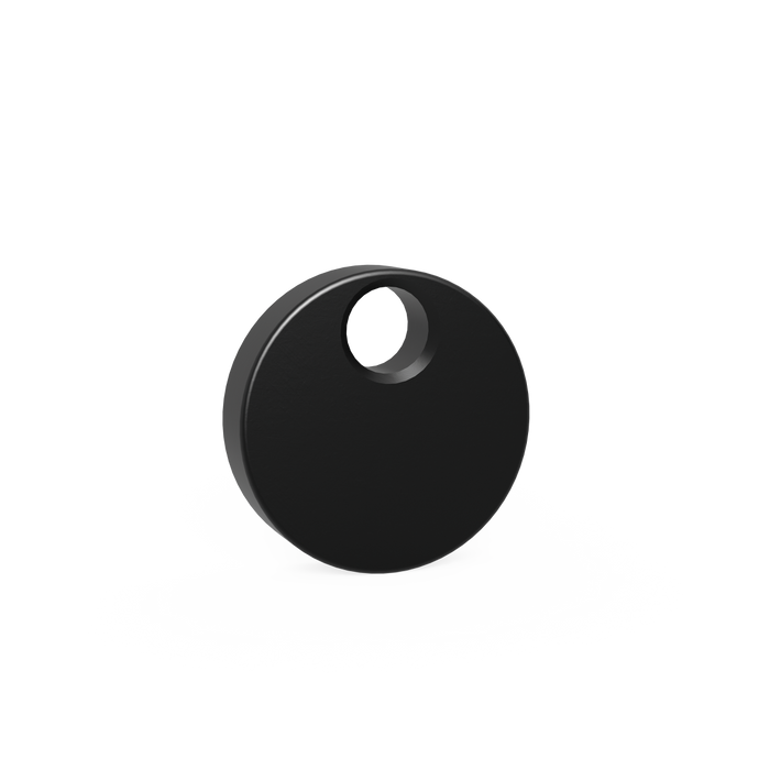 Eccentric Stop Ø 100 nitrided