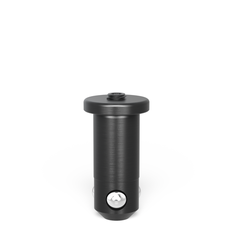 Fast Clamping Bolt flat without slot double burnished