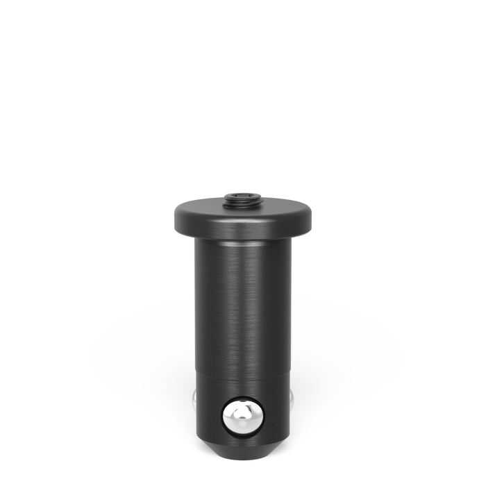 Fast Clamping Bolt flat without slot double burnished