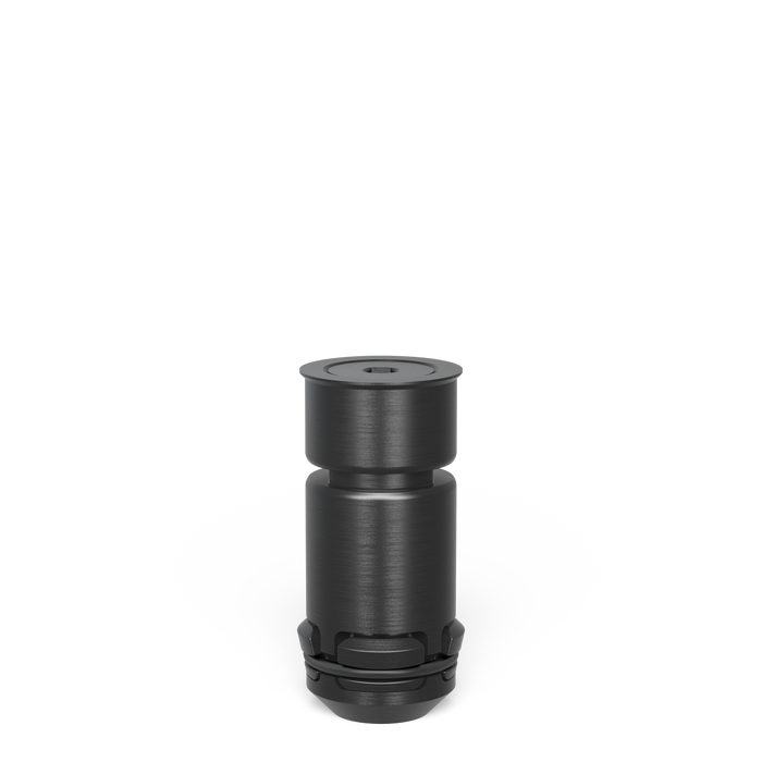 Areal Clamping Flush Mount Bolt double burnished